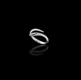 Snake Charm Combination Ring-Silver